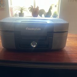 Sentry Safe 