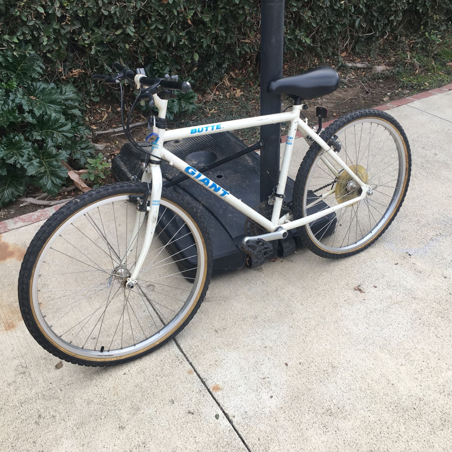 giant butte bike