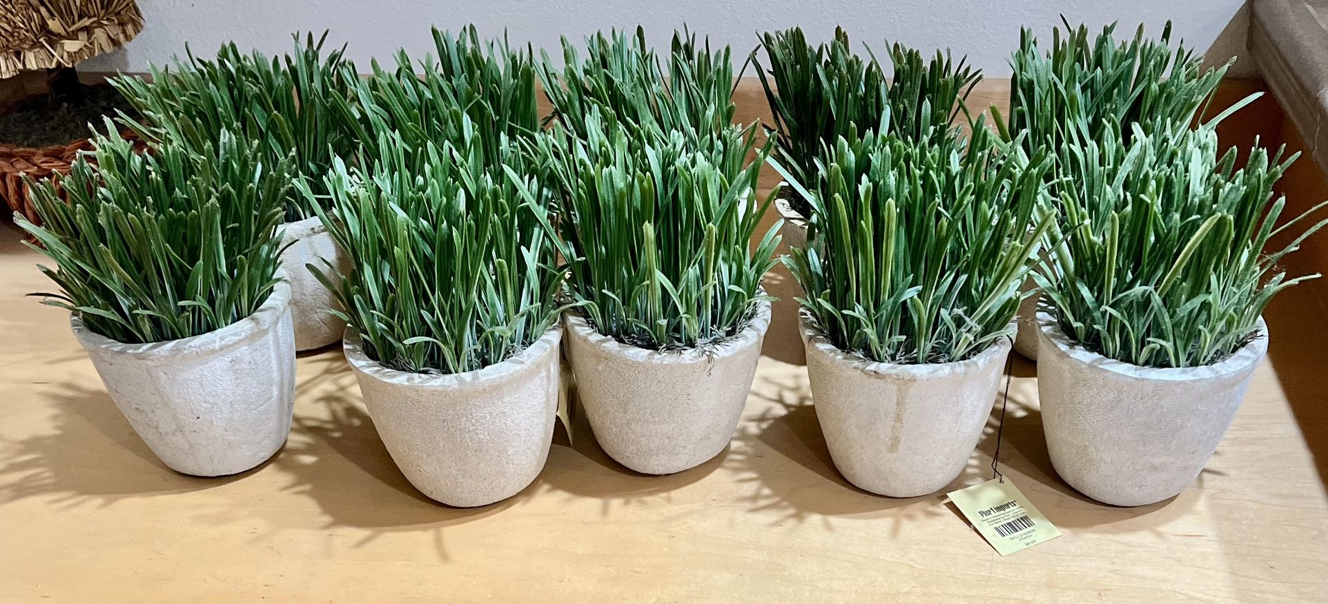 Pier 1 Faux Grass Potted Plants