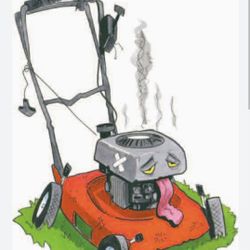 Lawn Mower Free Inspection