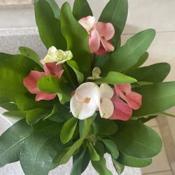 Garden Decor 