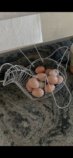Fresh Free range local EGGS