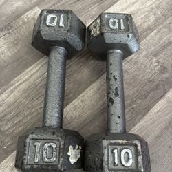 10 Lb Dumbbell Weights