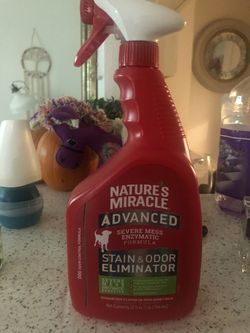 Stain and odor remover