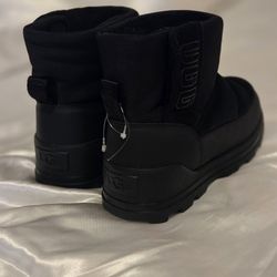Boots UGGS 