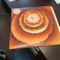 Stevie Wonder vinyl