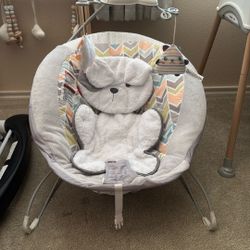 Baby Bouncer