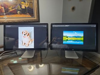 Apple Thunderbolt Display Monitors – Pair