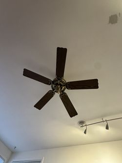 Hunter Ceiling Fan