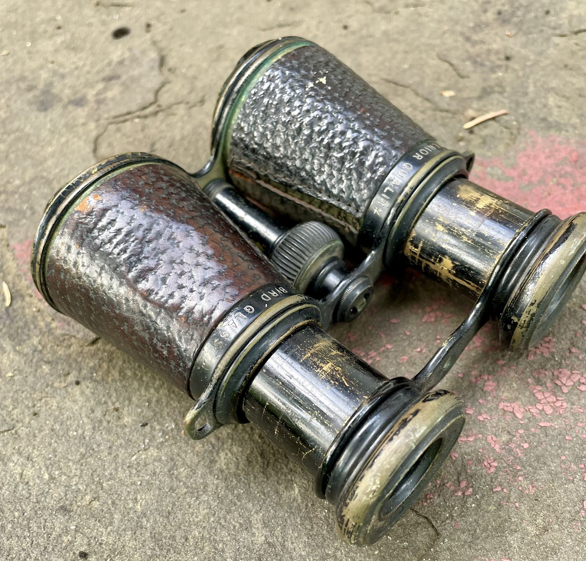 Antique Bird Watch Colmont Paris Binoculars