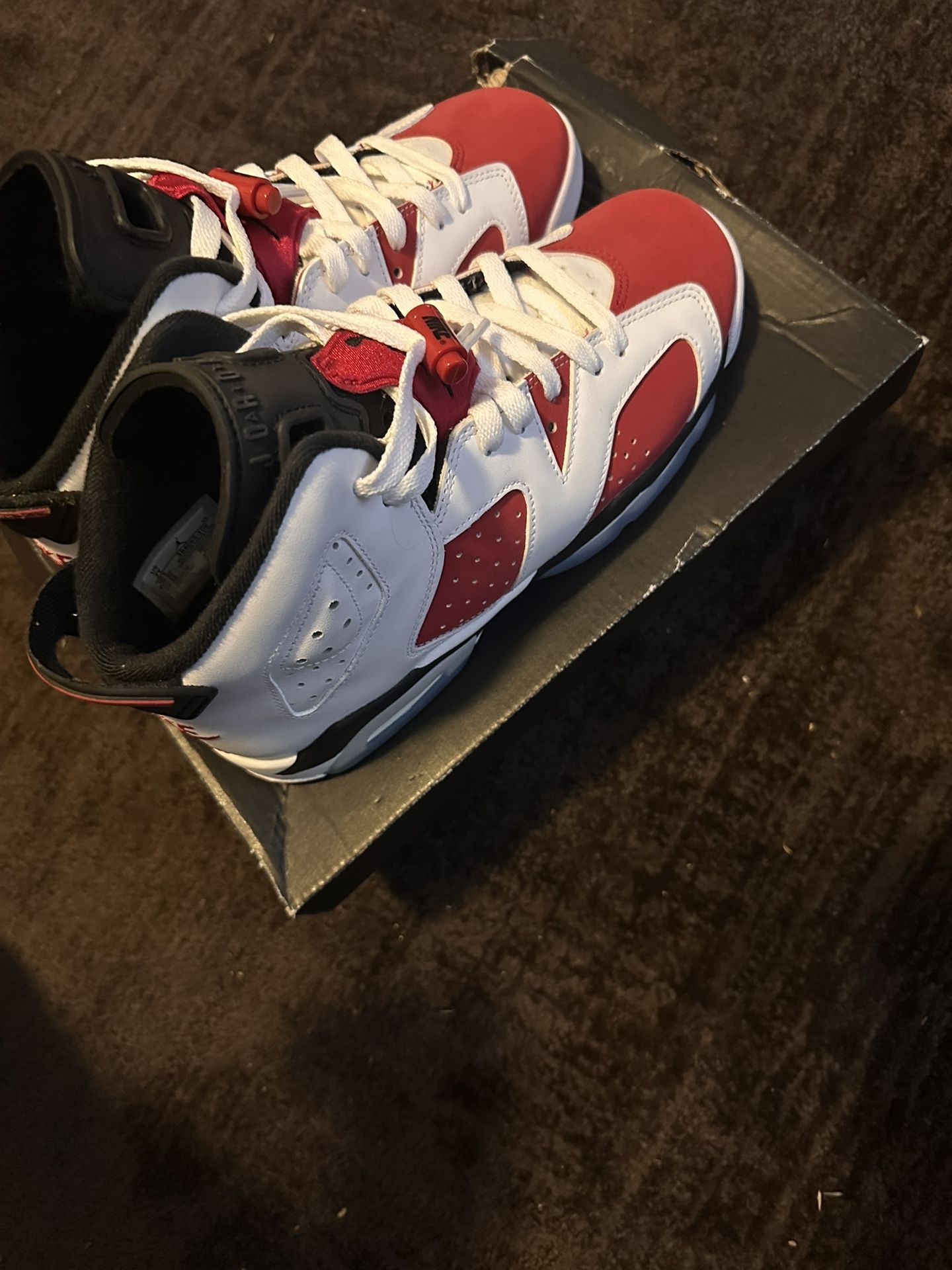 Jordan’s 6s