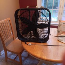 Fan