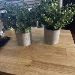 3 Items (Farmhouse Decor)