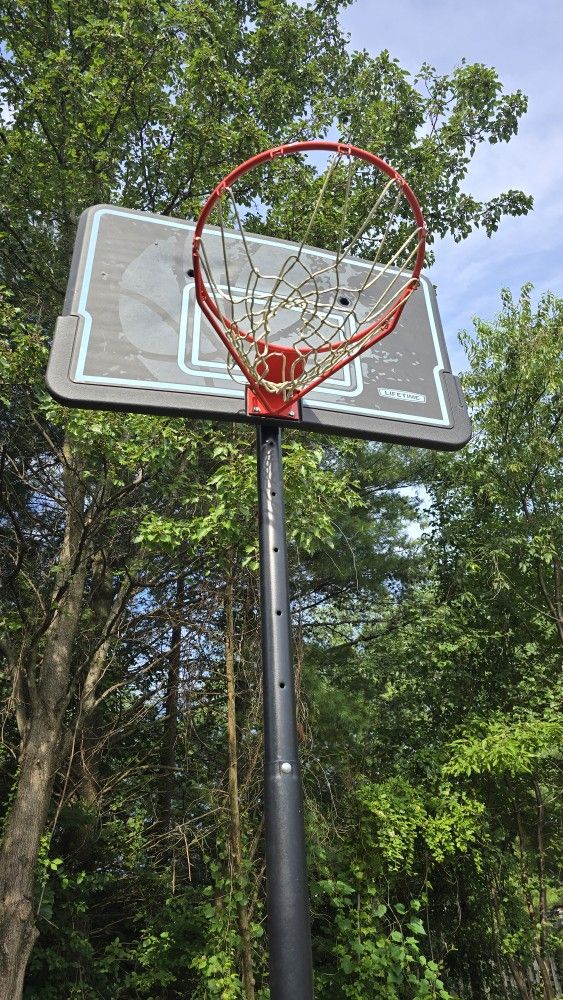 Adjustable Basketball Hoop ($80/OBO)