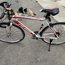 Road Bike 26” 