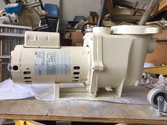 Complete rebuilt pool motor and pump. 3 month warranty