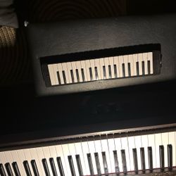 Schroenhut Melodica 