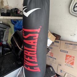 Everlast 100 Lb Heavy Bag 