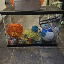 Fish Tank With Rodent Items