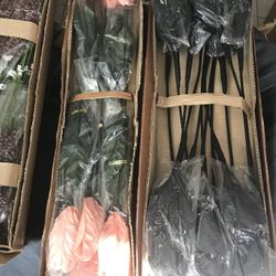 Files Remato Todas Estas Flores