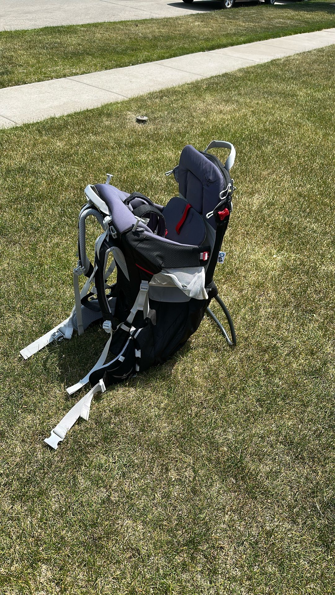 Osprey Hiking Carrier