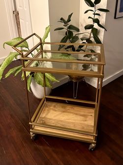 Vintage Gold Metal Bar Cart with Glass and Wood Shelves