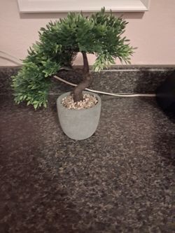 Artificial Bonsai Tree in Cement Pot