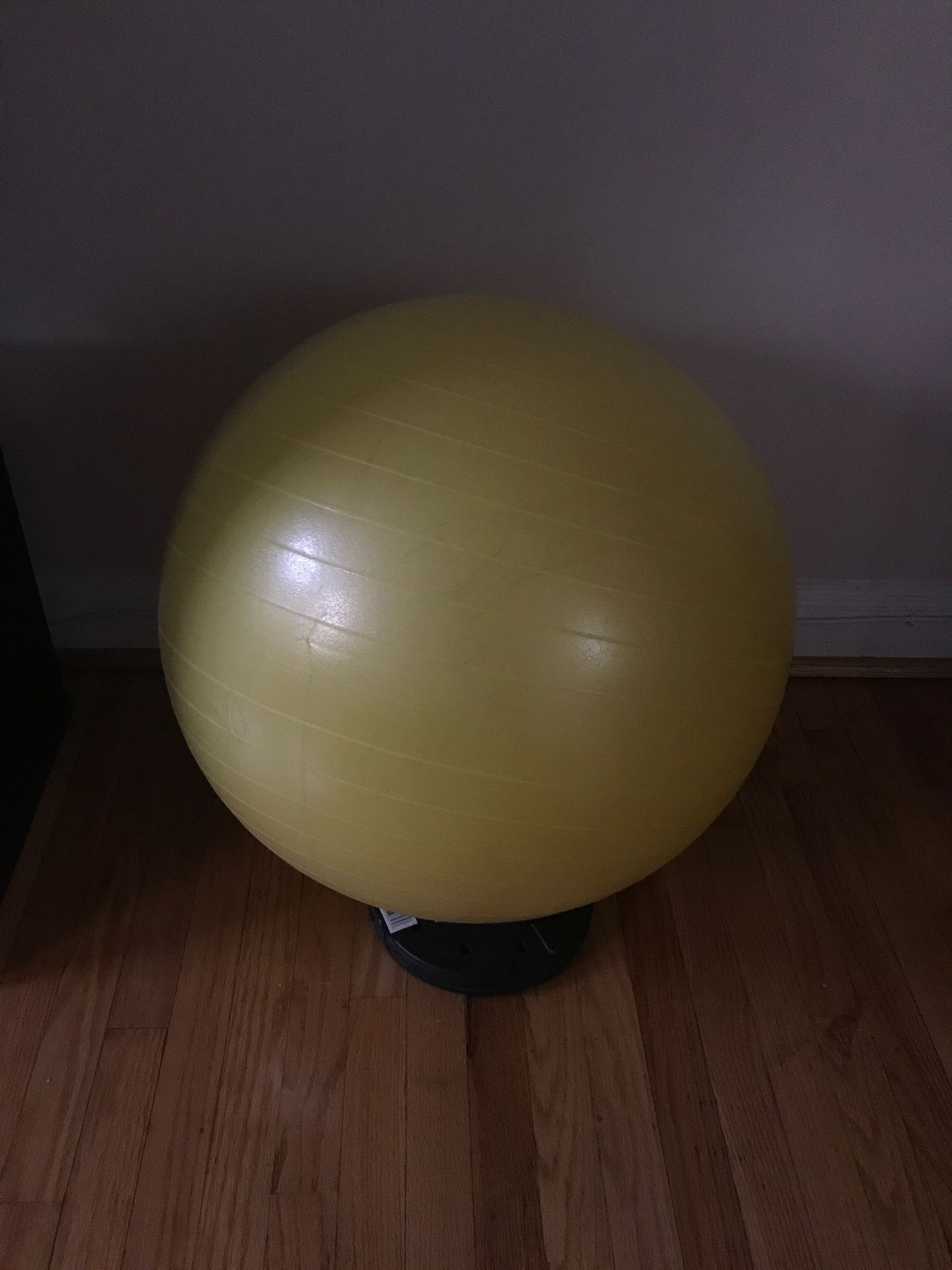 Exercise & Stability Ball