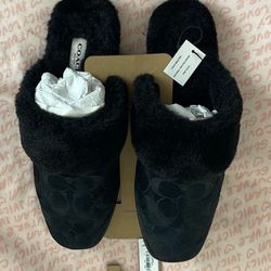 Coach slippers