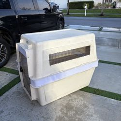 Pet Kennel 