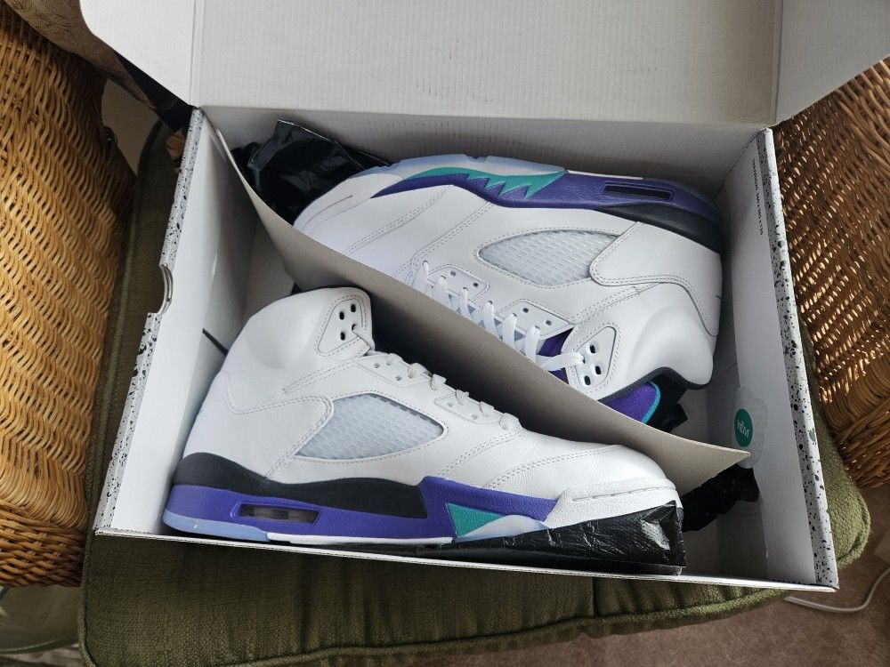 Jordan 5 RETRO Grape
