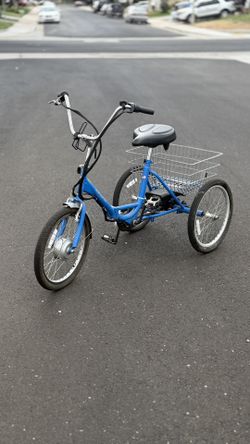 True Bicycle “Fold and Go” MANUAL  & ELECTRIC TRIKE - with 2 chargers 