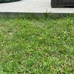 All Types Sod Installed 