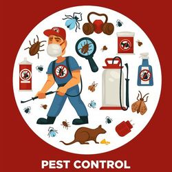 Pestcontrol  Fumigasion