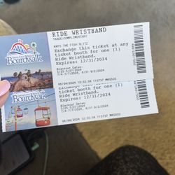 2 Ride Wristbands For Santa Cruz Board Walk