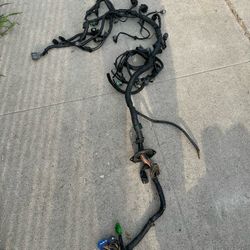B16 Harness
