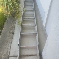 Ladder 