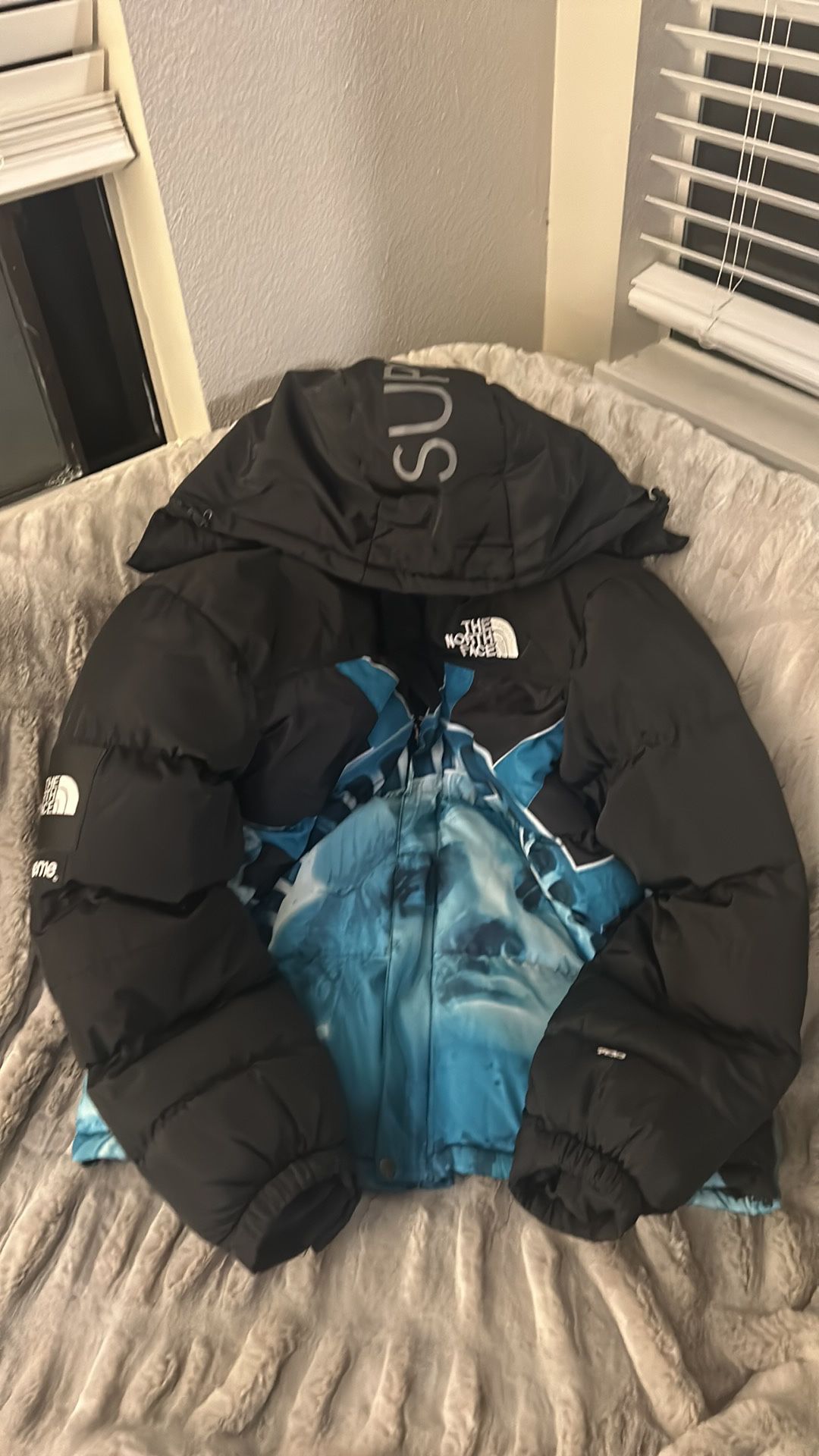 North Face, XL , Statue Of Liberty Jacket!  
