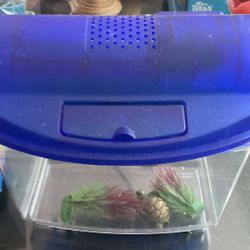Starter Aquarium 