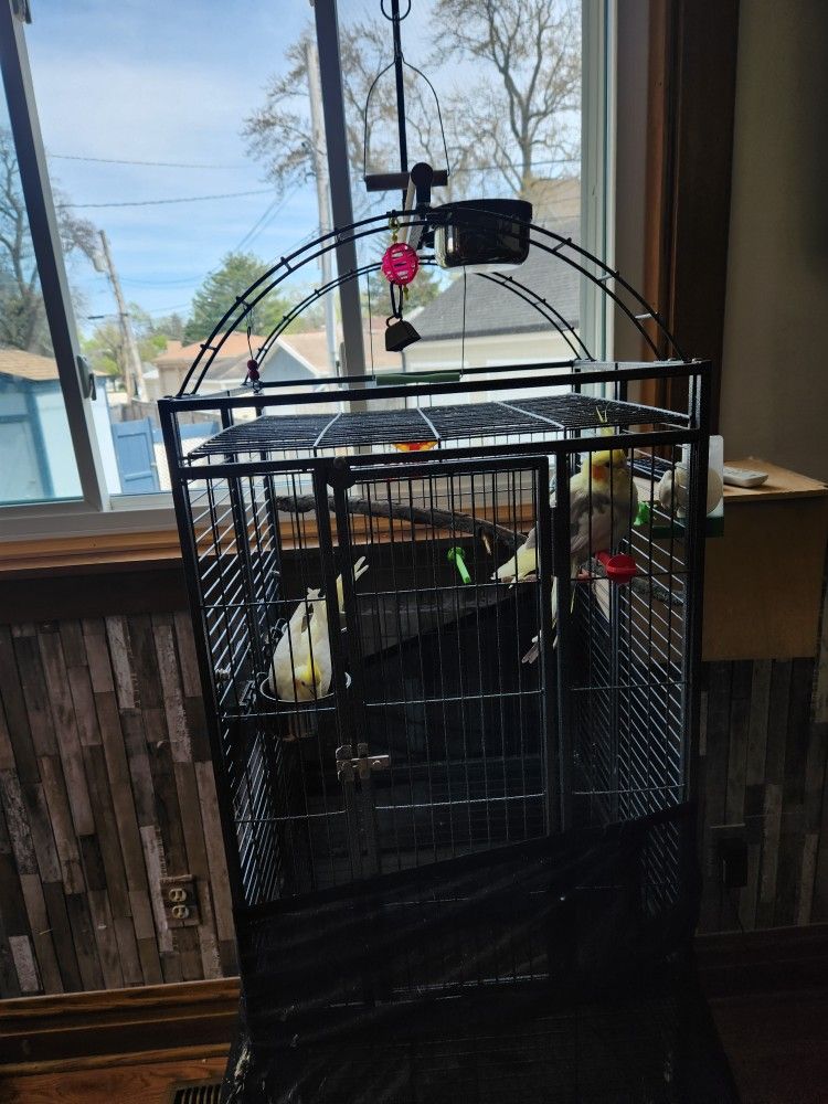 Cage For Bird