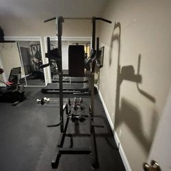 HOIST Fitness Tree