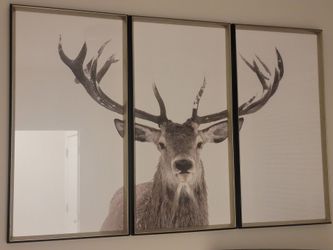 3 piece wall art deer head picture