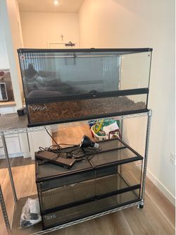 Reptile enclosure