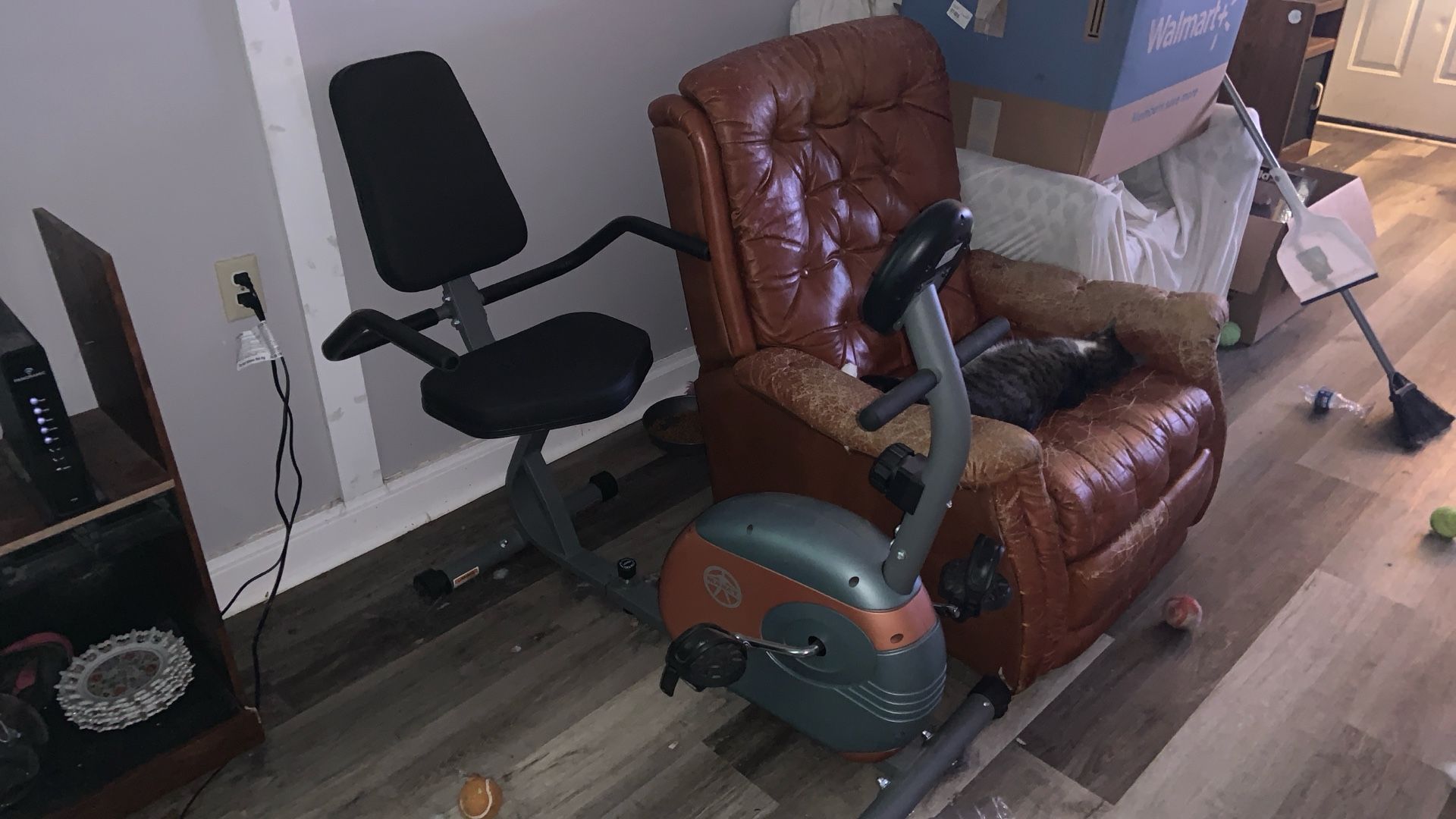 Recumbent Bike