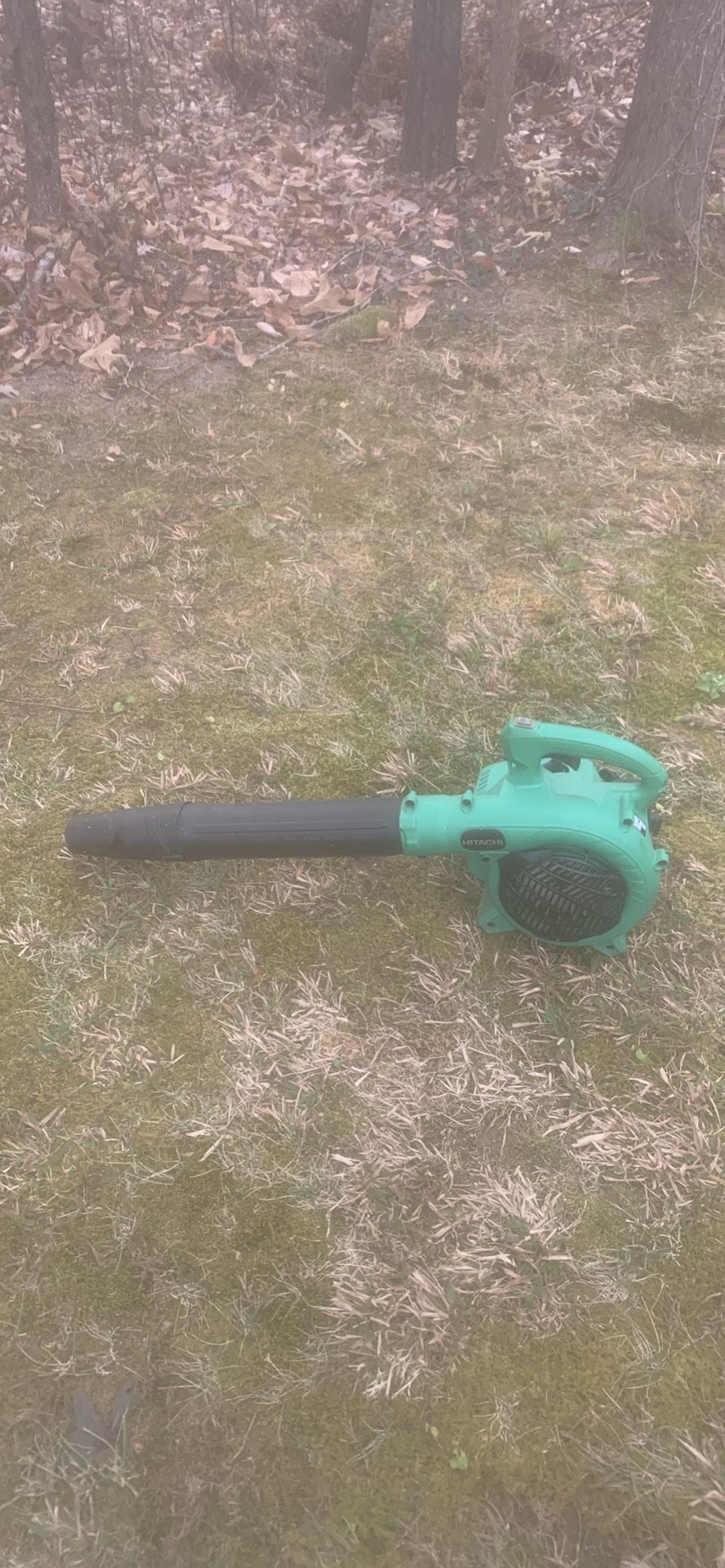 Hitachi Leafblower