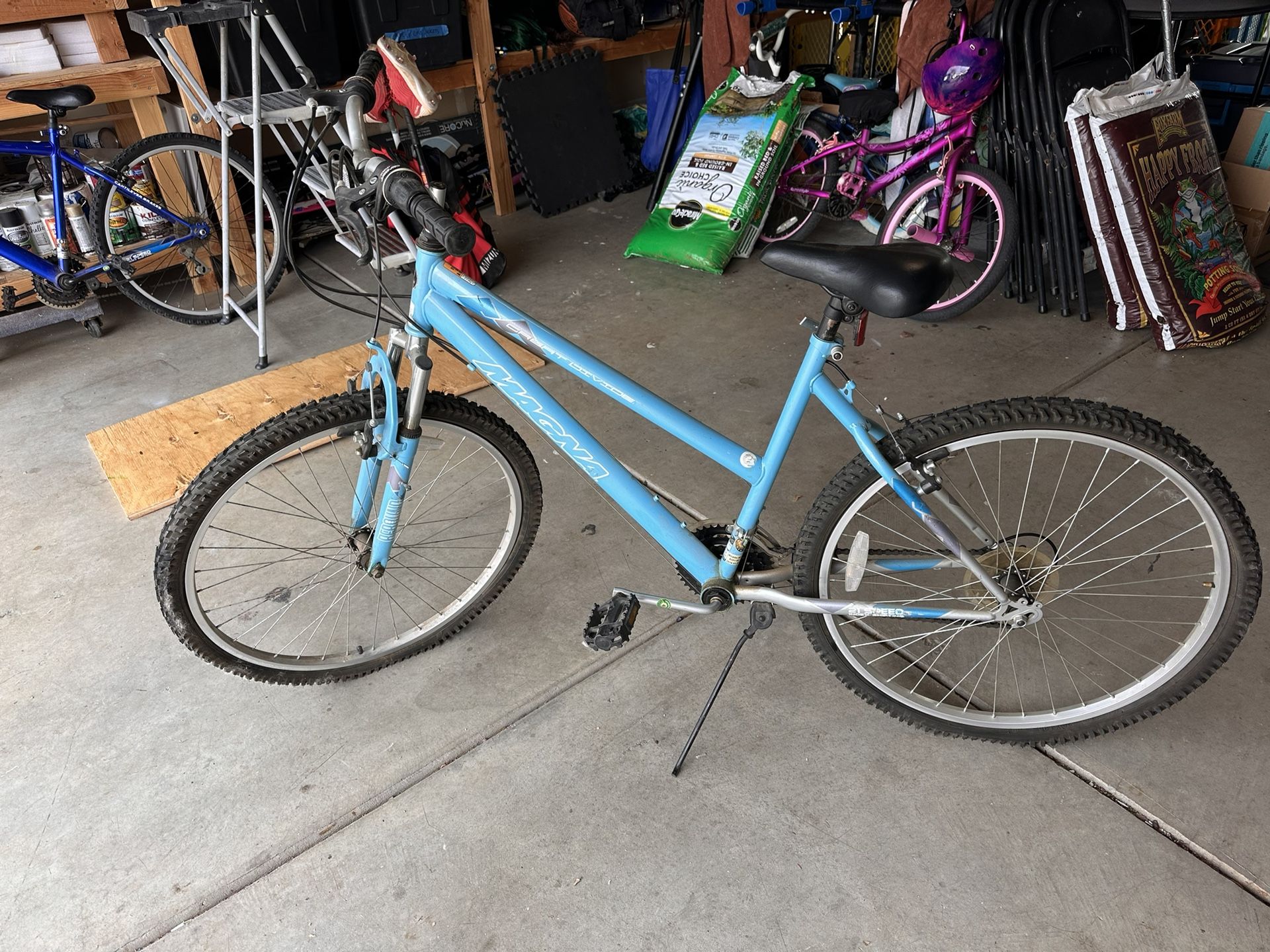 Adult Bike