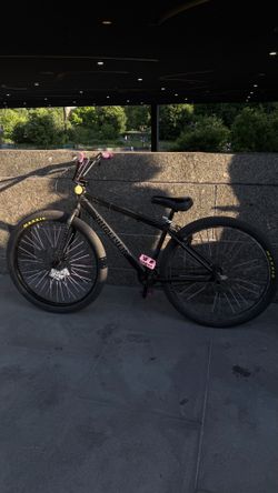 29in Big Flyer SE bike