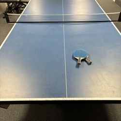 Ping Pong Top + Net