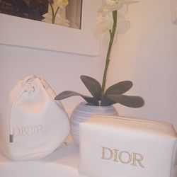 Dior Cosmetics Bags