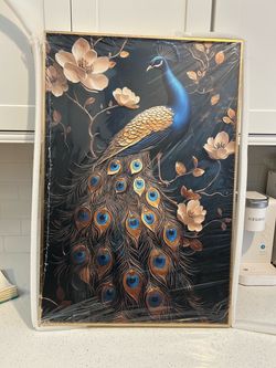 Peacock framed picture